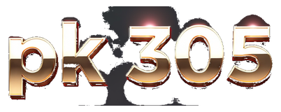 pk 305 logo